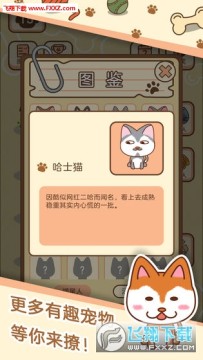 ���������ֻ���