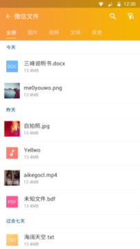 �����ļ��ܼ�app