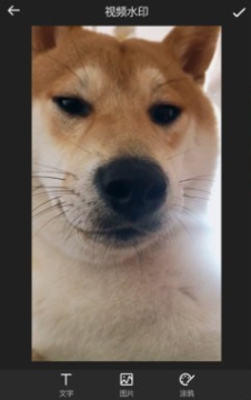 ưxҕl݋app