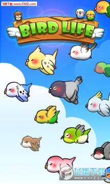 Bird Life�ٷ���