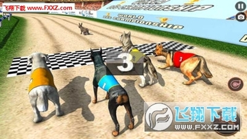 狗赛车锦标赛apk 狗赛车锦标赛apk