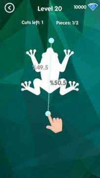 5050 Split Up����