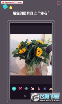 拍照大咖app官方版 拍照大咖app官方版