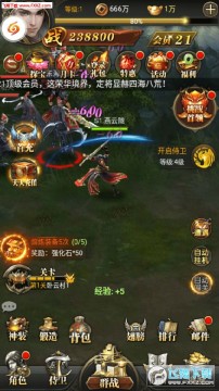 ���ų���������