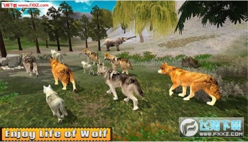 �����Ǽ���ģ��������