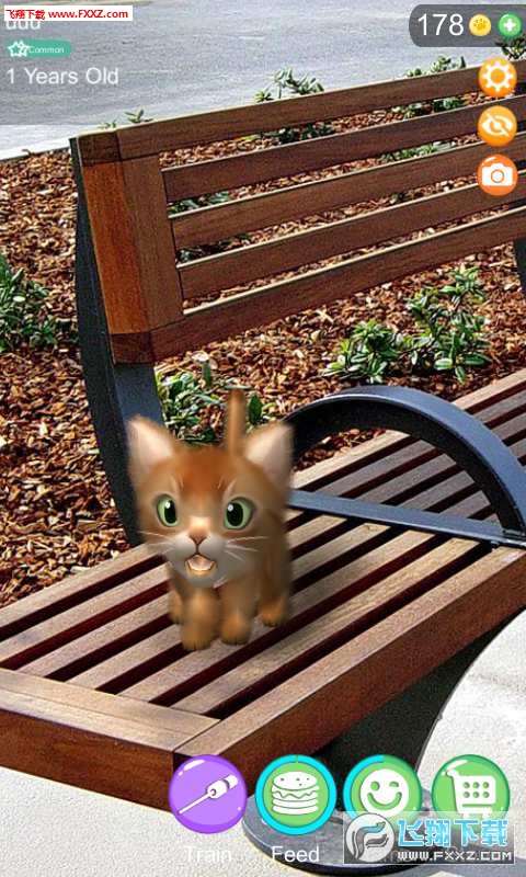 AR Cat(ARè䰲׿)v1.0ͼ0