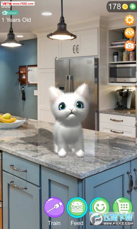 AR Cat(AR؈䰲׿)v1.0؈D1