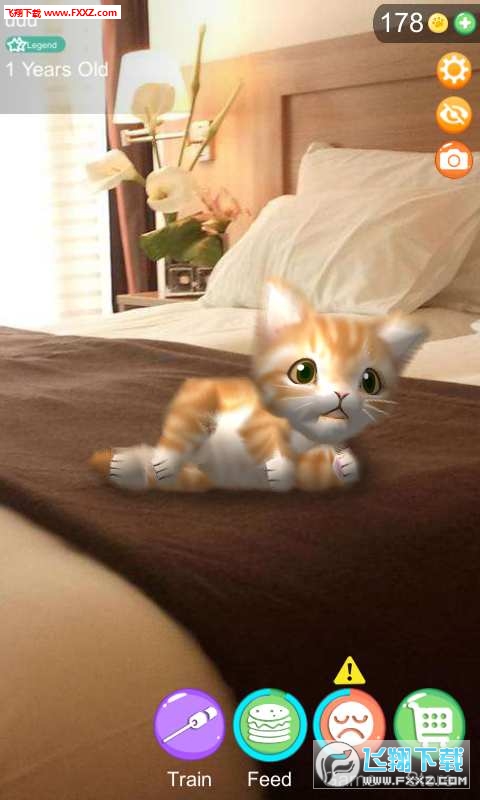 AR Cat(AR؈䰲׿)v1.0؈D2