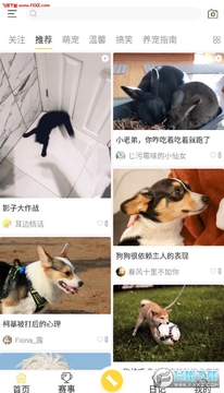 С�����app��׿��