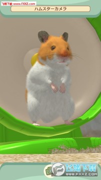 云仓鼠安卓版 云仓鼠安卓版