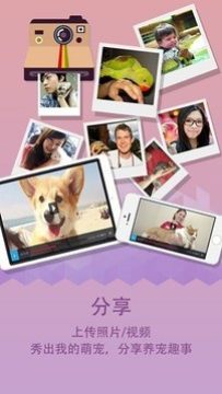 宠遇app安卓版 宠遇app安卓版