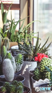 ������app�ٷ���