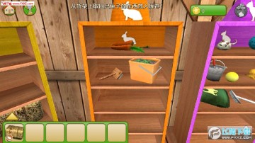 宠物世界我的动物救援安卓版 宠物世界我的动物救援安卓版