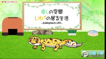 �ع�������С�ݰ�׿��