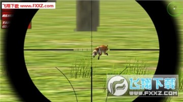 狐狸狩猎狙击手游戏 狐狸狩猎狙击手游戏