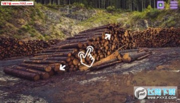 ����֮è��׿��