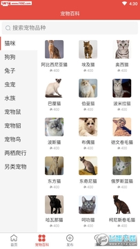 得宠app最新版 得宠app最新版