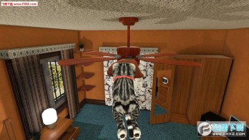 Cat Simulator��׿��