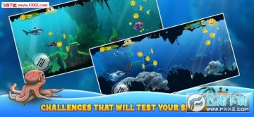 Sea Dash����