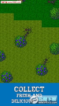 Ant Evolution�ٷ���