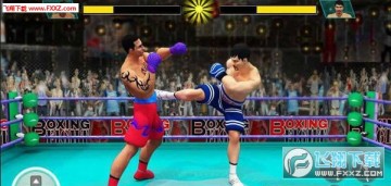 忍者拳击勇士 忍者拳击勇士