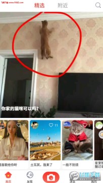 第一视频app官方版 第一视频app官方版