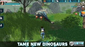 ����ѱ��ʦ�ٷ���