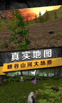 蜘蛛模拟生存安卓版 蜘蛛模拟生存安卓版