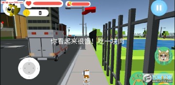 ����è��ս������