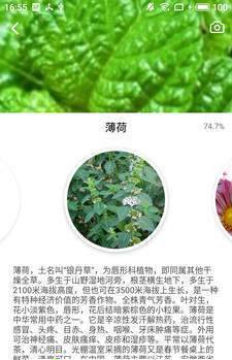 森林百科 森林百科