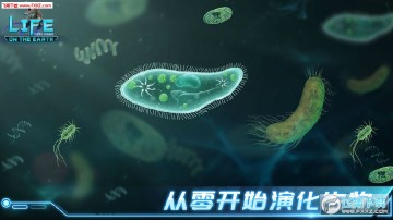 ������ʷ�����������Ϸ