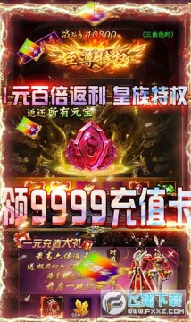 ��;���ޱ����ֵ��