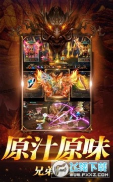 �Ż�������