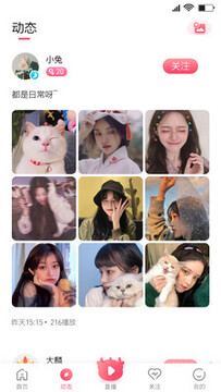 ��������app