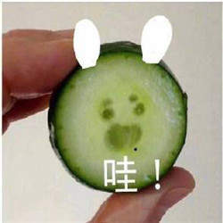 肖战用的黄瓜表情包