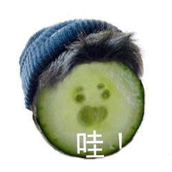 肖战用的黄瓜表情包