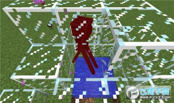 我的世界1.17国际版手机版 我的世界1.17国际版手机版