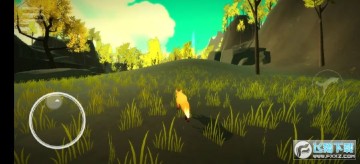 the first tree����