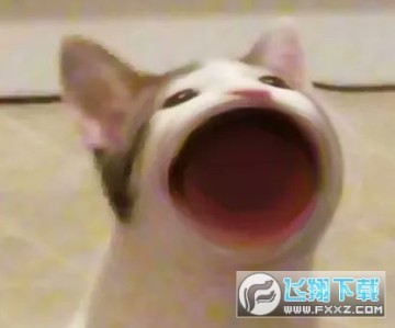 popcat啵嘴猫表情包高清版 popcat啵嘴猫表情包高清版