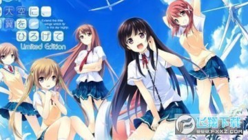 ����Ƭ�����չ��������İ�