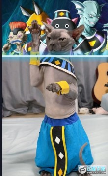 ��Ѫ��У������ս�ز�