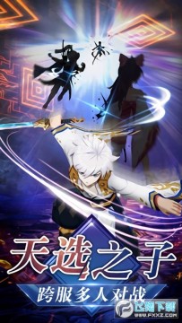 忍者大乱斗华为渠道服 忍者大乱斗华为渠道服