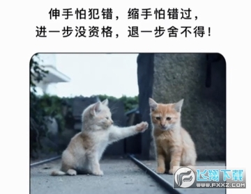 伸手怕犯错缩手怕错过背景图