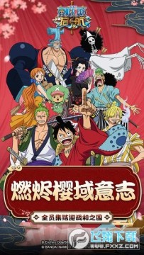 航海王启航vivo渠道服 航海王启航vivo渠道服