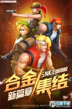 合金弹头集结 合金弹头集结