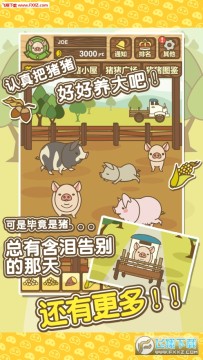 金猪养猪场养殖赚钱app安卓版 金猪养猪场养殖赚钱app安卓版