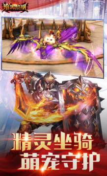 ��������2020���������