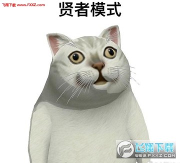 mur猫流口水高清表情