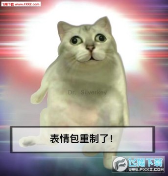 mur猫流口水高清表情