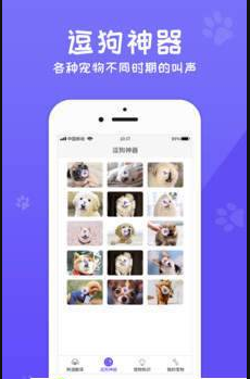 狗语翻译交流app官方最新版 狗语翻译交流app官方最新版